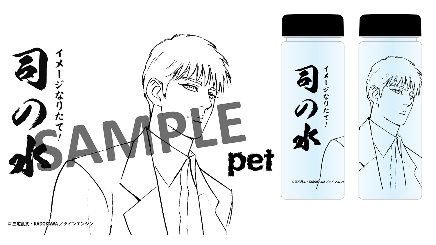 PETS　DVD　英語版　海外購入　ペット　アニメ